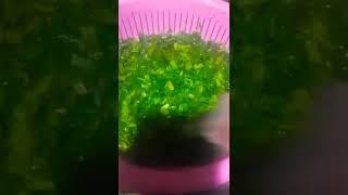 تفريز السبانخ الصح بضاف واحده بس#مطبخ نانا مع نيفين