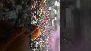 Holi celebrations in Shree Bankey Bihari Temple Vrindavan  Rangbharni ekadasi | Colors of Brijdham