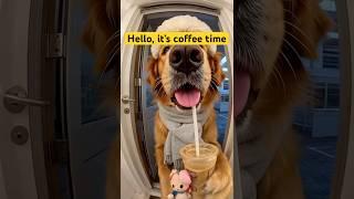 Hello, coffee time #dog #happy #cute #shorts #shortvideo #funny #fyp #life