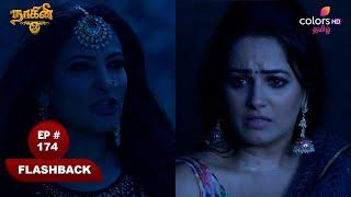 Naagini S3 | நாகினி S3 | Ep 174 | 06 March 2025