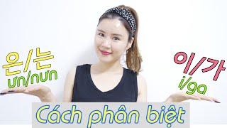 Cách Phân Biệt 은/는 và 이/가