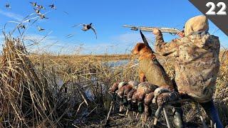 DUCK HUNTING A Hidden MARSH On Public Land (Limited Out)