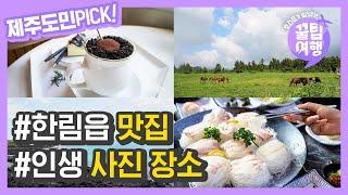 제주도 도민이 PICK! 제주도 핫한 한림읍 맛집 카페 포토존 BEST 2곳 (Must Visit Restaurants and cafes in Hanlim, Jeju Island)