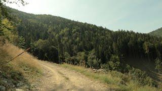 Virtual Hike - finding zen and tranquility in Slovakian mountains (Mala Fatra)