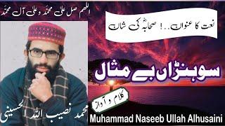 Sohna Bay Misaal || (official video) New kalam | سوہنڑاں بے مثال | #Muhammad_Naseeb_Ullah_Alhusaini