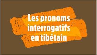 Les pronoms interrogatifs en tibétain - débutant | Apprendre en vidéo