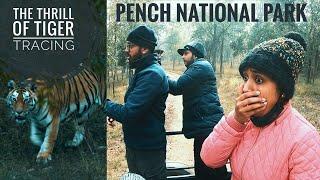 Pench National Park | Tiger Safari | Tiger Tracing | Part 1