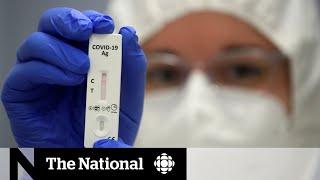 Millions of rapid COVID-19 tests unused across Canada