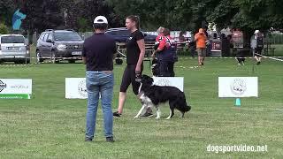 Qualifications – Christine Hahn + Wings of Hope Eternal Hero / Border Collie – GERMANY