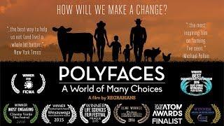 Polyfaces - A World of Many Choices