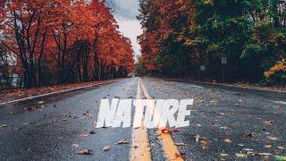 Cinematic Nature | Season Transform | Cinematic Video