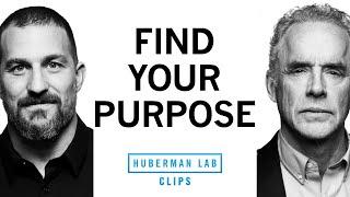 Practical Steps for Finding Your Purpose | Dr. Jordan Peterson & Dr. Andrew Huberman