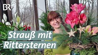 Naturdeko fürs Wohnzimmer - Strauß mit Rittersternen