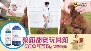 【毛城城開箱】藥箱都變玩具箱 寵物神仙水「衛護先」Viruzyn