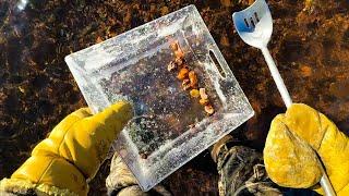 Exploring a beach for AGATES & cutting our finds!