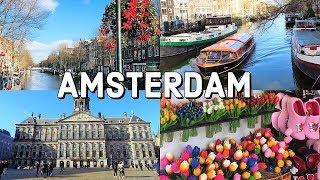 AMSTERDAM City Tour / The Netherlands