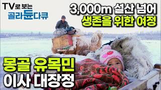 가축 600마리 데리고 -20℃ 눈보라 치는 설산 넘어 푸른 목초지 찾아 떠나는 생존을 위한 여정┃가을부터 봄까지 몽골 유목민 가족의 이사 대장정┃다큐프라임┃#골라듄다큐