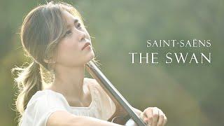 Saint-Saëns, The Swan 생상스, 백조 | Yoonkyung Cho