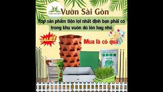 Các loại chậu trồng cây, dụng cụ hỗ trợ làm vườn tiện lợi, hiện đại