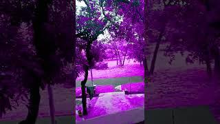 #purple#land#effect#video#shorts#viral#video#trending