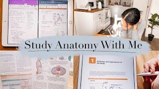 Study With Me: Anatomy + Physiology