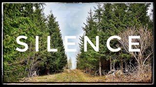 SILENCE - 8 Hours of Nothing | Pure Silent Place | Relaxing Ambience | Soft Wind | Quiet