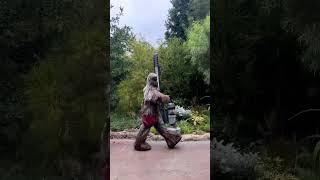 Chewbacca Walking - Hollywood Studios