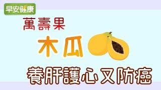 「萬壽果」木瓜養肝護心又防癌【早安健康】