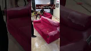 Sofa cleaning at home || Sofa Cleaning || Carpet Cleaning || cleaning Services  #shorts #viralvideo