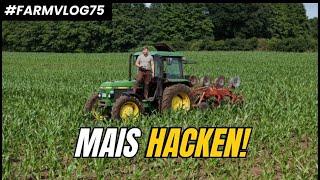 Mechanische Unkrautbekämpfung im Mais FARMVLOG #75