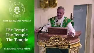 The Temple, The Temple, The Temple - Sermon by Fr Novak (21 Jul 2024)