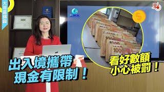 出入境攜帶現金有限制？不管攜帶外幣還是人民幣都有「額度」，且進出境規定不同，要出行的遊客們是否注意過？！出行前快來記筆記！【大灣區錦囊·生活】｜#出入境 #現金 #外幣