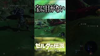 素材回収を優先した男の末路【ゼルダの伝説　ブレス オブ ザ ワイルド】