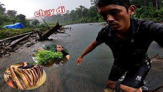 Chạy Nhanh Đi Lũ Về | 51H Câu Cá Cắm Trại - Hái Rau Rừng Ngủ Lại QUA ĐÊM Trên Sông