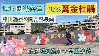 搭1815國光客運 2025萬金杜鵑 ep212『一次走完三個展區,萬里瑪鋉運動公園,觀光公園,金山中山溫泉公園杜鵑最美,也可以金山老街吃美食,但我最推薦徒步瑪鋉溪河岸步道走到萬里沙灘』