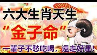 天生金子命，六大生肖一輩子不愁吃喝。| 星座生肖