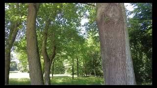 Nature Walking .آلمان . پیاده روی  در طبیعت بکر. با کیفیت عالی #آرمش . #آلمان