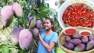 Amazing  eat purple mango with chili salt and shrimp paste and fish paste | SIS Cooking TV