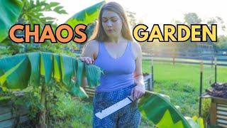 GARDEN VLOG l CHAOS GARDENING? + Summer SEED SOWING for a FALL HARVEST #gardening