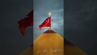 Ziyarat e Ashura Shab e Juma 2023 Imam Hussain as #ziyarat #status #karbala #iraq #hussain #shorts