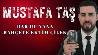 Mustafa Taş - Bak Bu Yana - Bahçeye Ektim Çilek