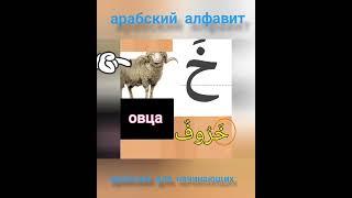 Арабский алфавит.  Арабский для начинающих.  Учим букву Кха вместе с нами