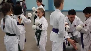 Try Karate with Westwood
