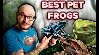 Top 5 Pet Frogs You've Never Heard Of!