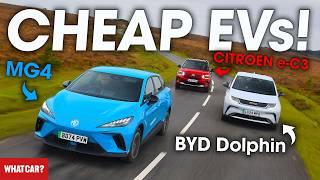 NEW BYD Dolphin vs MG4 vs Citroen e-C3 review – what's the best CHEAP electric car? | What Car?