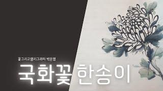 국화꽃 한송이 a flower of chrysanthemum