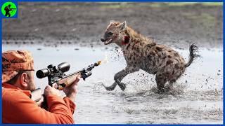 How Do Botswana's Top Hunters Deal With Thousands Of Hyenas? | Farming Documentary