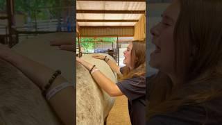 Beginner Vs Experienced Horse Owners!  #shorts #animals