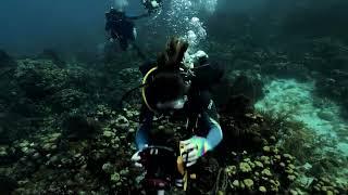 Explore exciting career opportunities at WHOI!