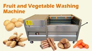 Fruit and Vegetable Washing Machine | Working Video of Daikon Washer | Brush Type Fruit Washer